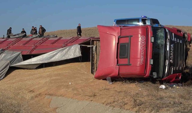 Tır devrildi, tonlarca buğday etrafa saçıldı: 1 yaralı