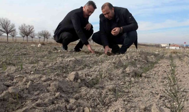Yağışların yüzde 50 azaldığı Aksaray'da kuraklık çanları çalıyor