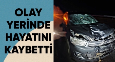 60 yaşındaki adam olay yerinde hayatını kaybetti