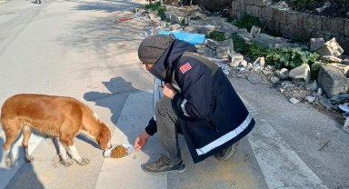 Afet bölgesindeki can dostlara Osmangazi şefkati