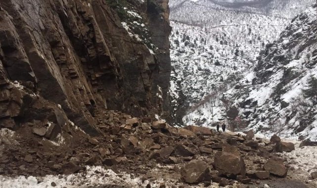 Artvin-Ardahan karayolunda bir heyelan daha