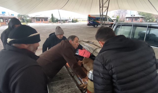 Artvin'de vatandaşların bitkin halde bulduğu karaca görevlilere teslim edildi