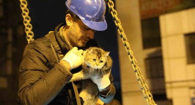 Bina enkazının yıkımı durduruldu, "Zena" isimli kedi kurtarıldı