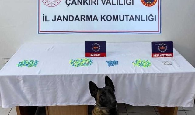 Çankırı'da uyuşturucu operasyonunda bir şahıs tutuklandı