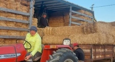 Deprem bölgesine saman ve yem gönderildi