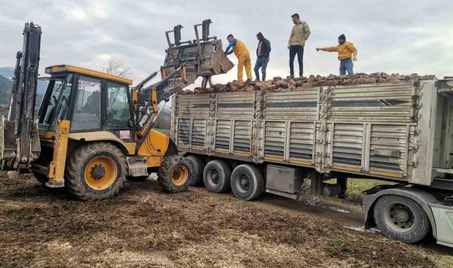 Deprem bölgesine yakacak odun ve yem yardımı gönderildi