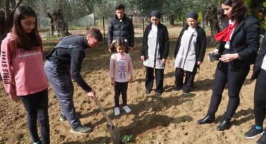 Edremit'te depremzedeler, konakladıkları otelin bahçesine zeytin fidanı dikti