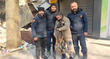 Enkaz altındaki vatandaşların umudu hassas burunlar: "Rüzgar ve Çakıl"