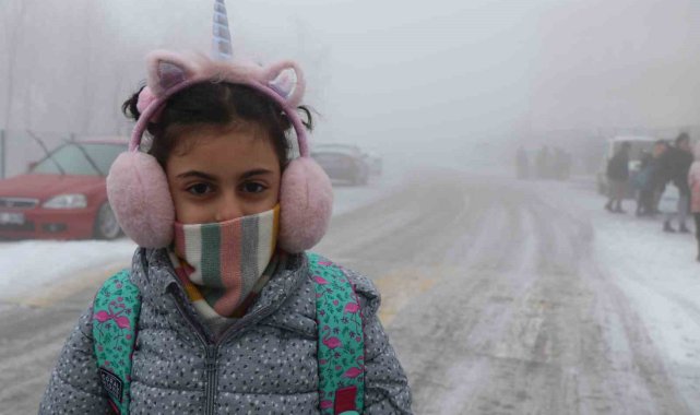 Erzincan'da sis, kar ve soğuk hava etkili oldu