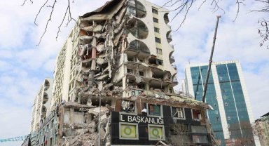 Galeria İş Merkezinden kurtarılan 7 kediden 6'sı sahibine teslim edildi