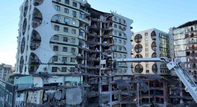 Galeria sitesinde mahsur kalan hayvanlara ilişkin açıklama
