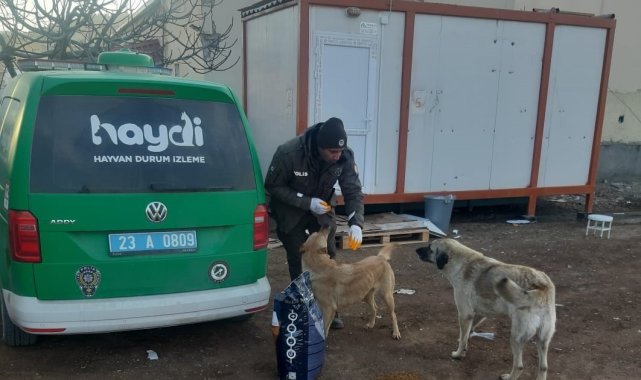 HAYDİ, deprem bölgesindeki can dostlarını yalnız bırakmadı