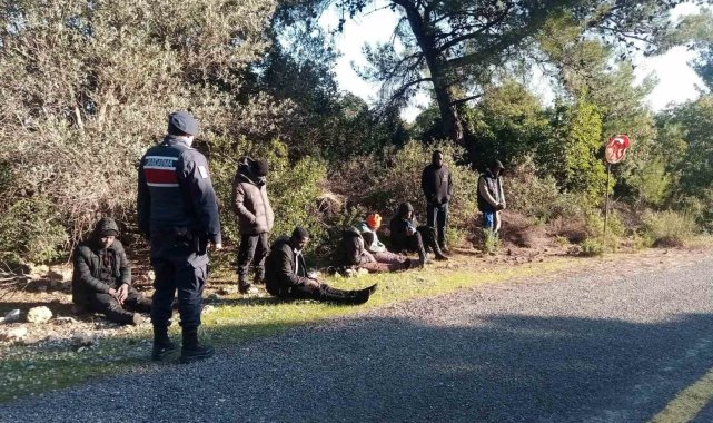 Jandarma düzensiz göçmenleri sazlık alanda yakaladı
