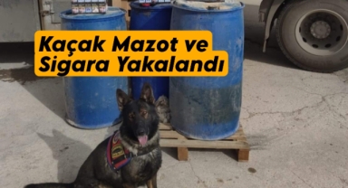 Karaman’da durdurulan tırda kaçak sigara ve mazot ele geçirildi