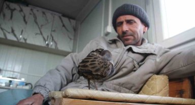 Limanda hareketsiz bulunan çulluk kuşuna balıkçılar sahip çıktı