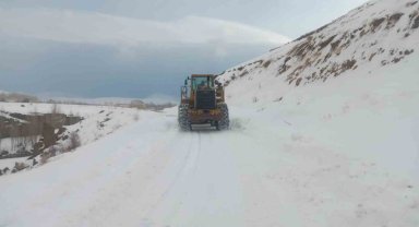 Muradiye'de yola düşen çığ temizlendi