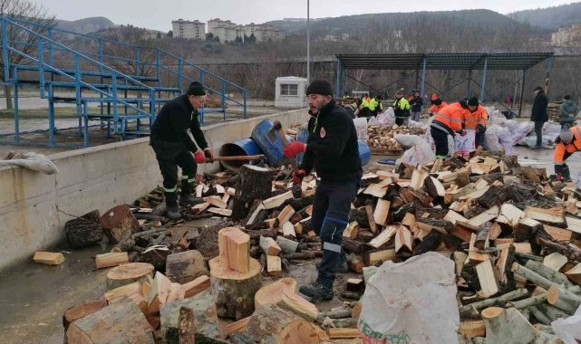 Park ve Bahçeler Müdürlüğü ekiplerinin depremzedeler için odun seferberliği