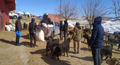 Siirt'ten deprem bölgesine 100 ton yem ve saman gönderildi