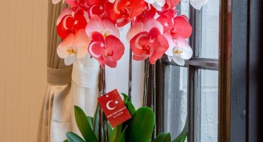 Tayvan liderinden Türkiye'ye destek mesajı