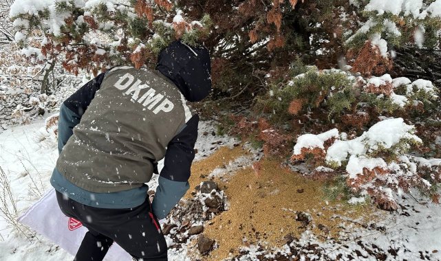 Tunceli'de yaban hayatı için yemleme çalışması