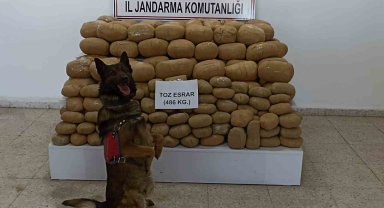 Van'da 486 kilogram toz esrar ele geçirildi