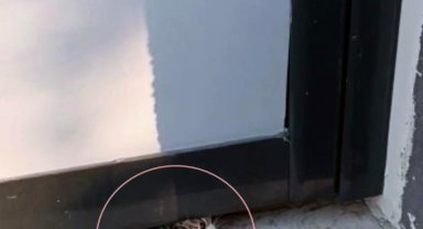Yaramaz kedi kapının altına sıkıştı