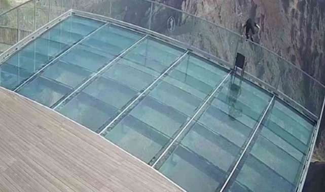 243 metre yükseklikten kendini kayalıklara bıraktı, o anlar kameraya yansıdı