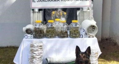 Başkentte uyuşturucu operasyonu