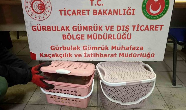 Gürbulak Gümrük Kapısı'nda 11 adet yavru maymun ele geçirildi