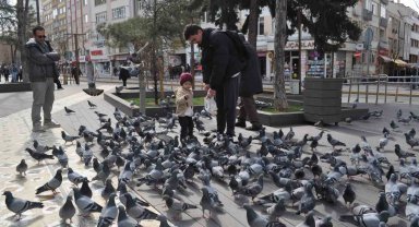 Hayvan sevgisi bu yaşta böyle başlıyor
