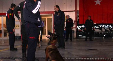 İtfaiye erinin eğittiği arama kurtarma köpekleri 18 kişinin hayatına dokundu