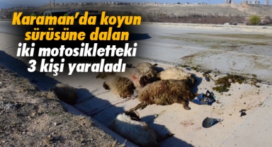 Karaman’da koyun sürüsüne dalan iki motosikletteki 3 kişi yaraladı