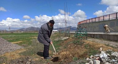'Ağaç sever dede' diktiği bine yakın ağacın bakımını aksatmıyor