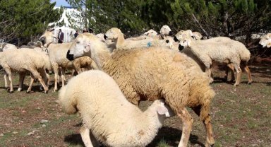 Bilimsel çalışmalar için kurulmuştu, elde edilen gelir burs olarak verilecek