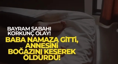 Cinnet getiren şahıs, annesini öldürdü