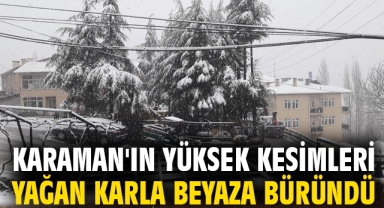 Karaman'ın yüksek kesimleri yağan karla beyaza büründü