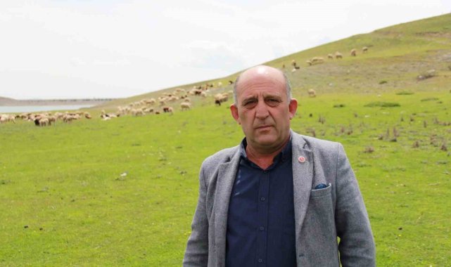 Keskin Mahalle Muhtarından sürüler için "Sınır İhlali" talebi
