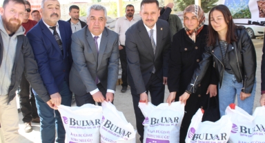 Kıraç Arazini Kaderine Değil Karabuğdaya Teslim Et