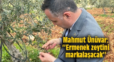 Mahmut Ünüvar: ‘’Ermenek zeytini markalaşacak’’
