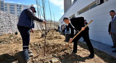 Mesai arkadaşlarından kızı vefat eden öğretim üyesine vefa: Kampüste meyve bahçesi oluşturdular