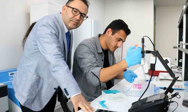 Türk bilim adamları geliştirdi, bu tohumlar çiftçinin cebini parayla dolduracak