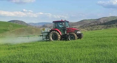 Yabani otlara karşı ekinler ilaçlanıyor