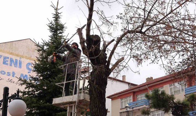 Yozgat Belediyesi ağaçlara bahar bakımı yapıyor