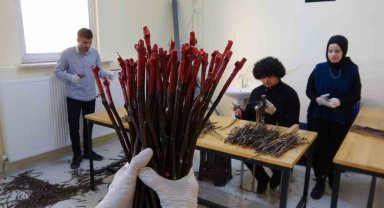 Yozgat'ta yörenin iklim ve toprak koşullarına uygun aşılı asma fidanı üretiliyor