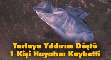 Tarlaya yıldırım düştü: 1 ölü 1 yaralı