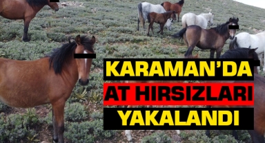 Karaman'da at hırsızları yakalandı