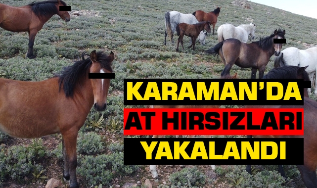 Karaman'da at hırsızları yakalandı