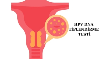 HPV ne demektir