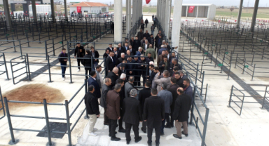 Kalaycı, önümüzdeki günlerde yeni projelerin hizmete sunulacağının müjdesini verdi.