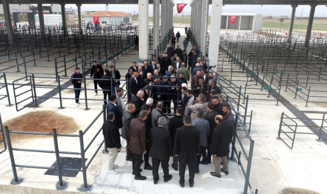 Kalaycı, önümüzdeki günlerde yeni projelerin hizmete sunulacağının müjdesini verdi.